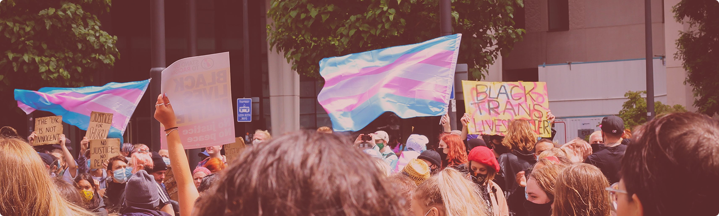 Photo by Oriel Frankie Ashcroft on Pexels - A scene of trans pride flags and black lives matters signs at a pride event.